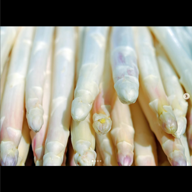 Asperges